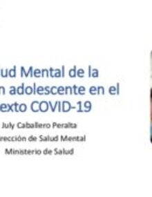 Descargue la presentación