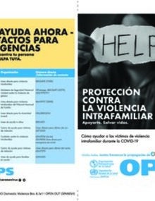 Domestic Violence Brochure