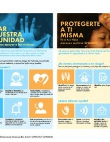 Domestic Violence Brochure