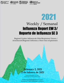 influenza vírus 2021