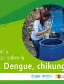 preguntas y respuestas sobre zika, dengue y chikungunya