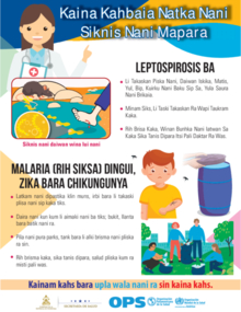 Afiche sobre prevención de enfermedades, traducidos al miskito