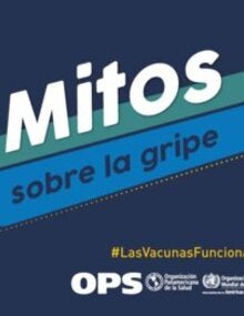 Los 11 mitos sobre la gripe PDF