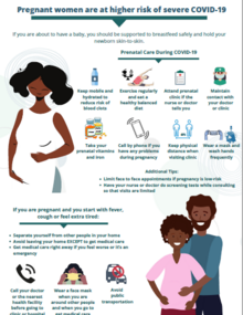 Pregnancy and COVID-19 Infographic