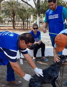 vacunación contra la rabia