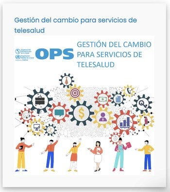 Change management as a critical success factor in the implementation of Telehealth services and programs