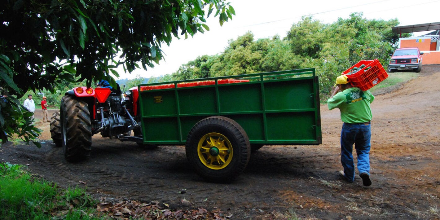 Food being prepared for transportation