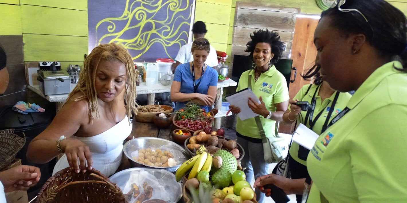 presentations on food security, nutritional security, and social determinants of food safety 