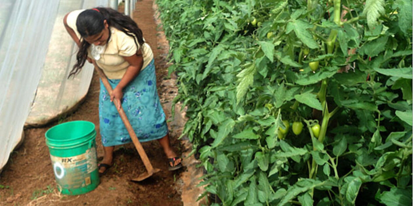 Women spread the word on food safety