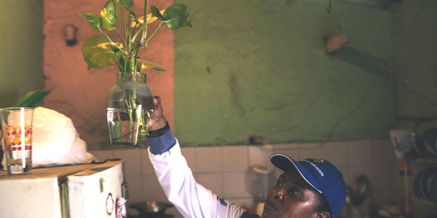 Removal of breeding grounds