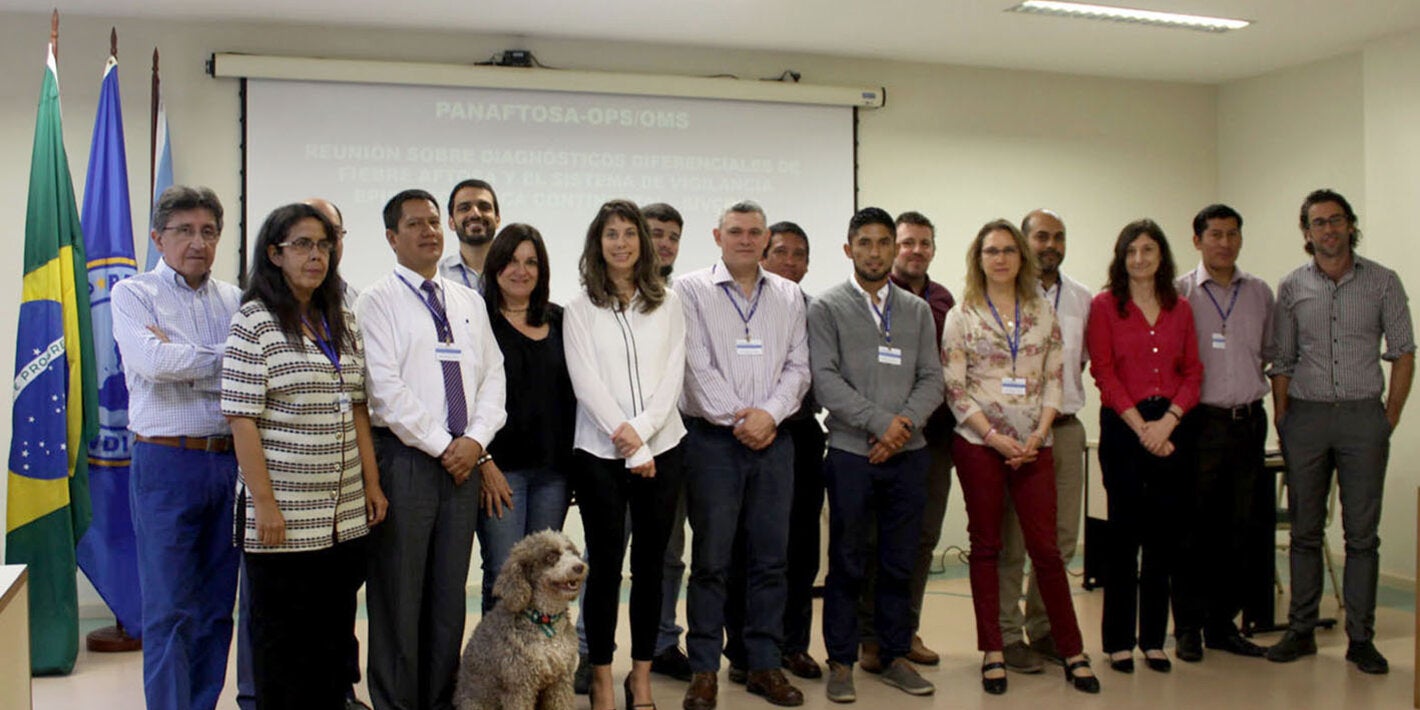 Reunión sobre diagnósticos diferenciales de Fiebre Aftosa y el SIVCONT