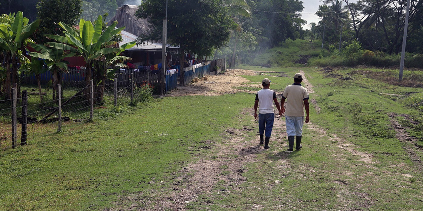 people walking jungle