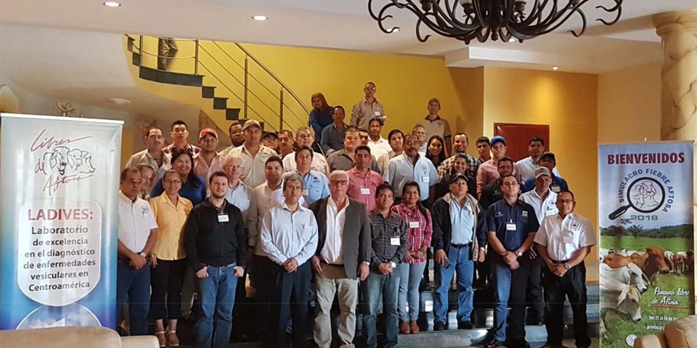 Simulacro de Atención a un Brote de Fiebre Aftosa en Panamá