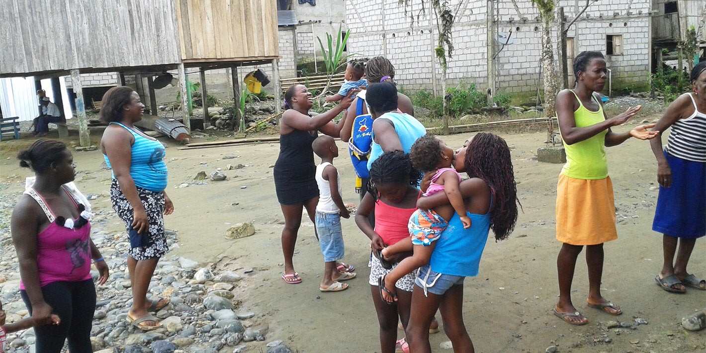 Historia de éxito: América Central vence al vector exótico de la enfermedad de Chagas 