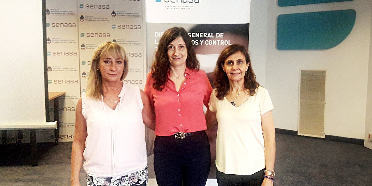 Las participantes de la reunión