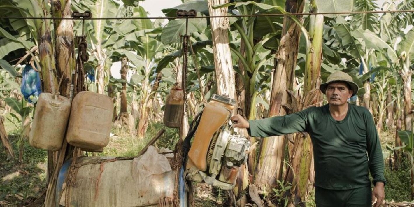 Costa Rica: 'Ripe' for malaria elimination