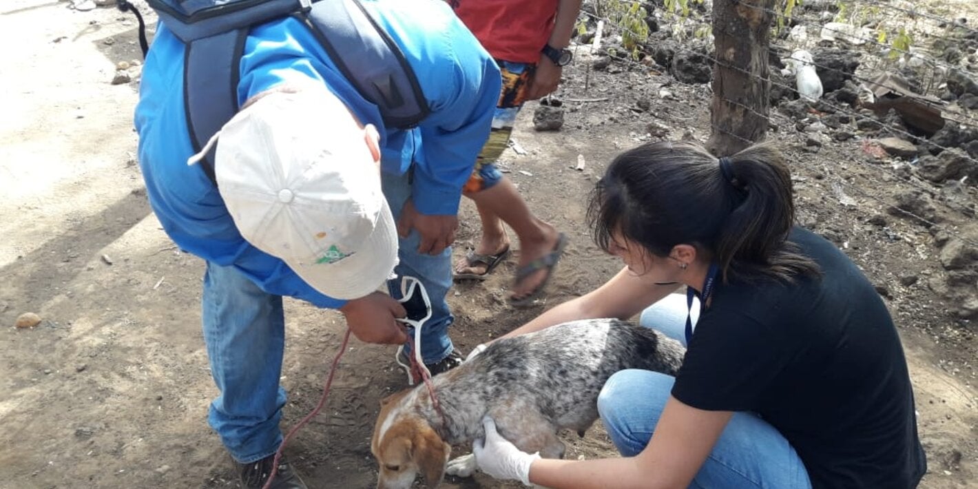 personal de salud en acción