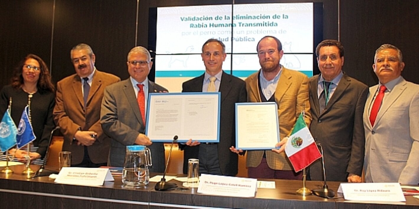 México recibe el certificado de validación de eliminación de la rabia humana transmitida por el perro