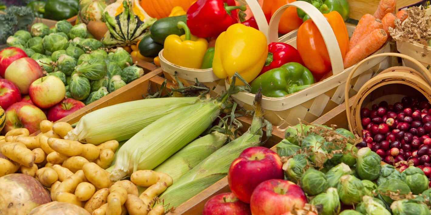 En el informe se analizan los «costos ocultos» de las dietas poco saludables y cuatro opciones de modelos alternativos.