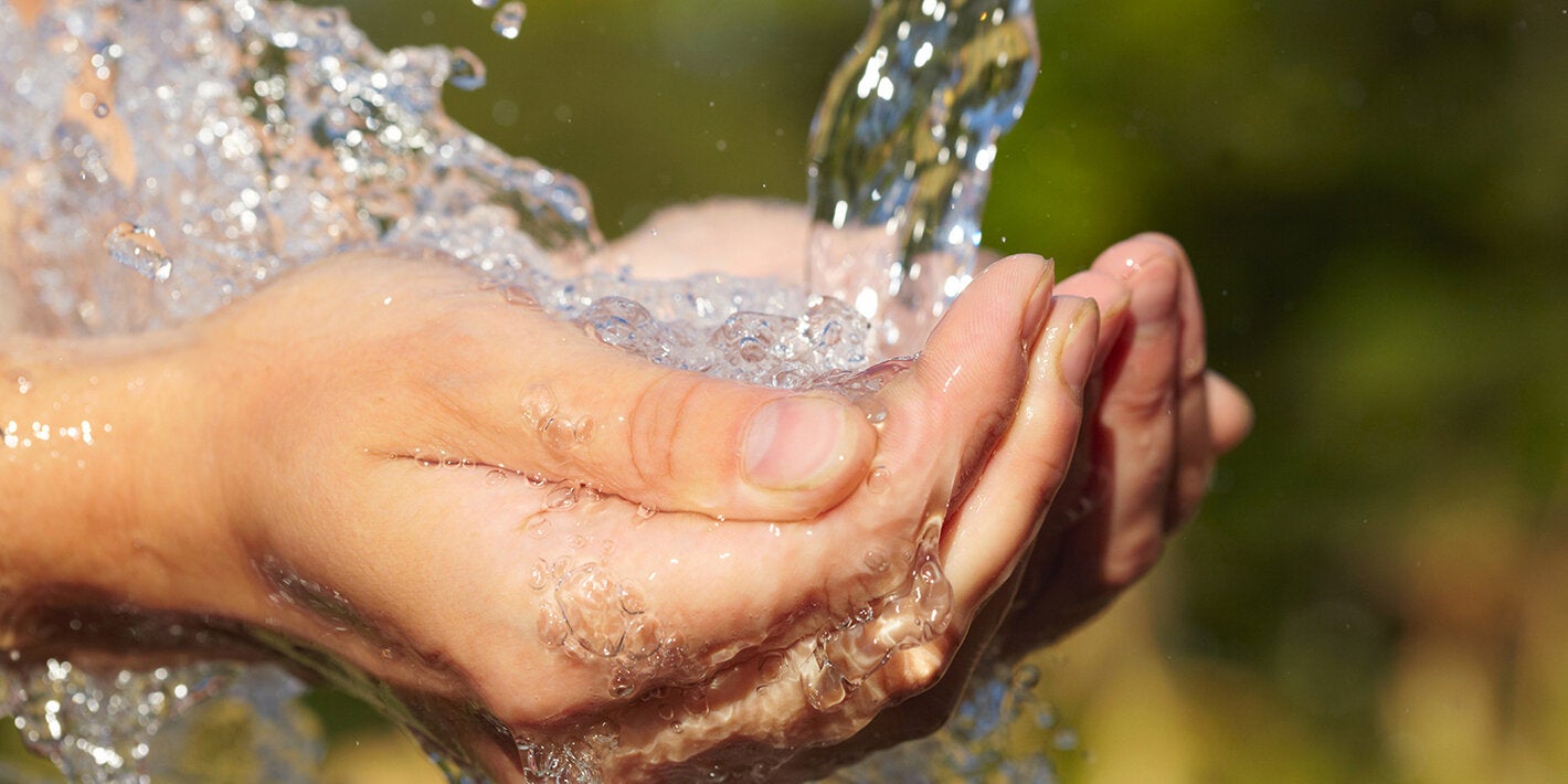 Establecimiento del Comité Técnico Multisectorial