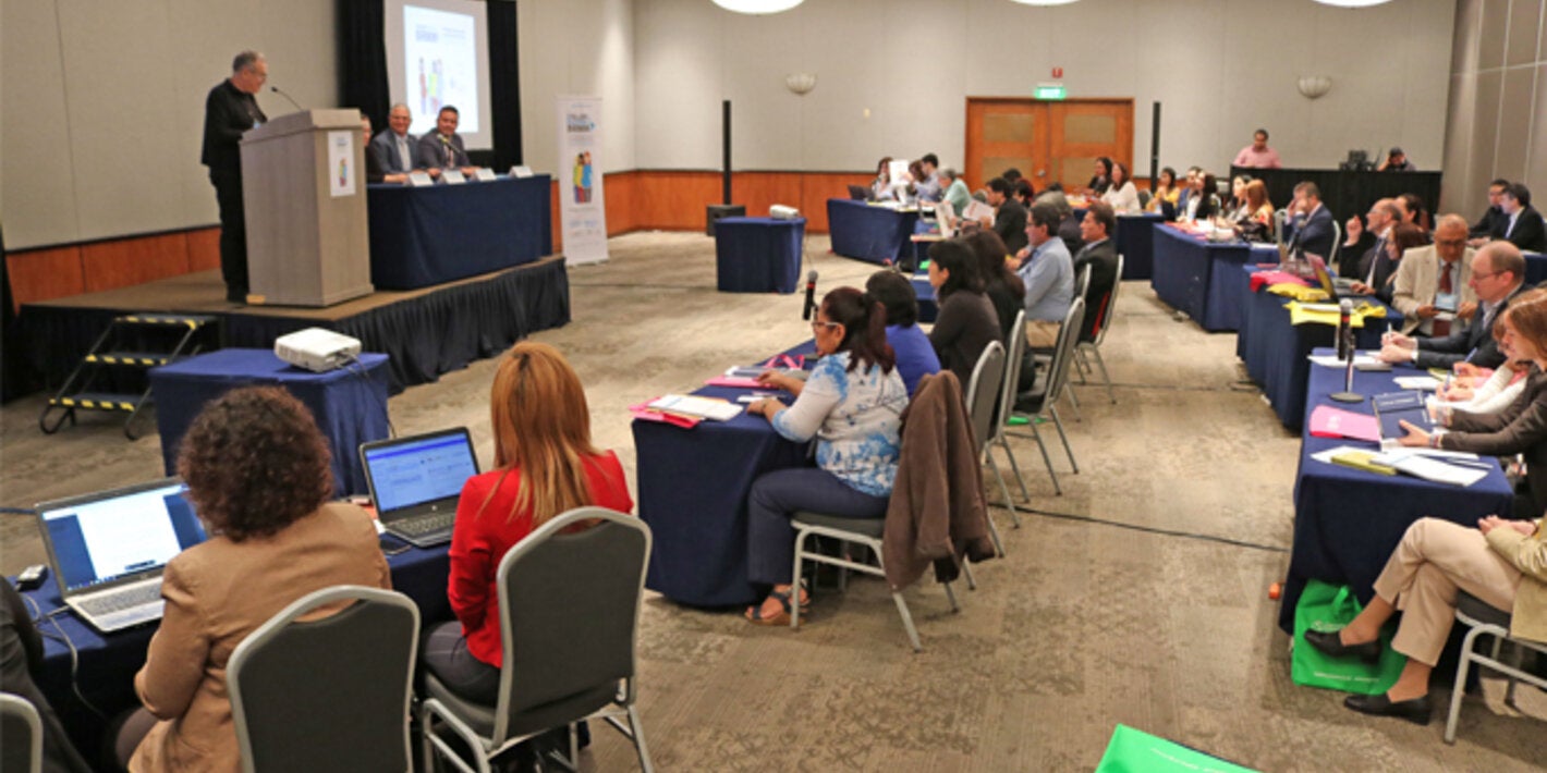 II Taller regional Birmm se lleva a cabo en México 