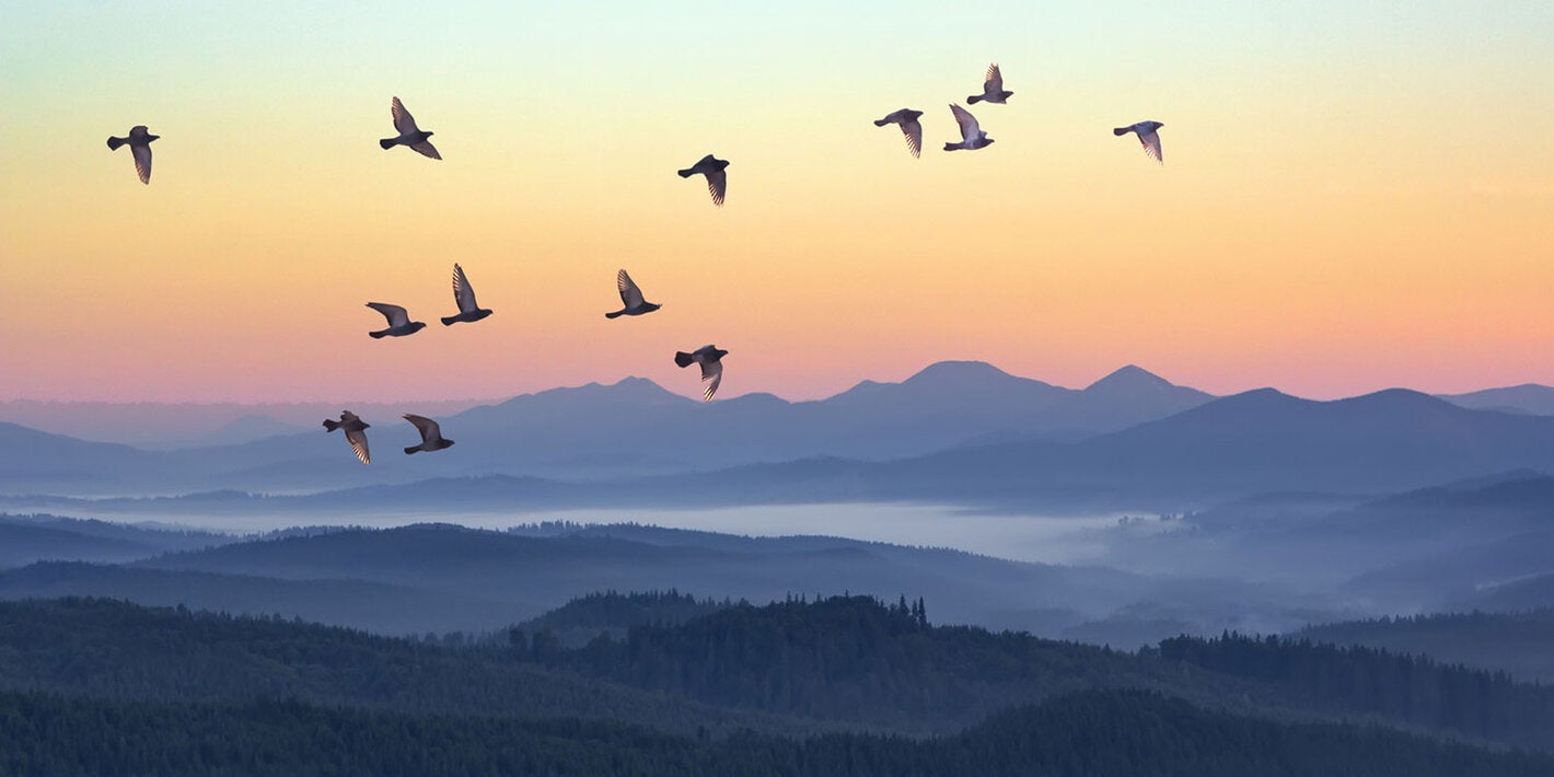 Clean Air for Blue Skies observance addresses air pollution threats