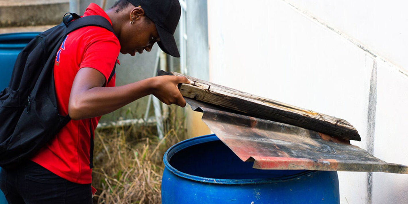 Inspection for mosquitoes