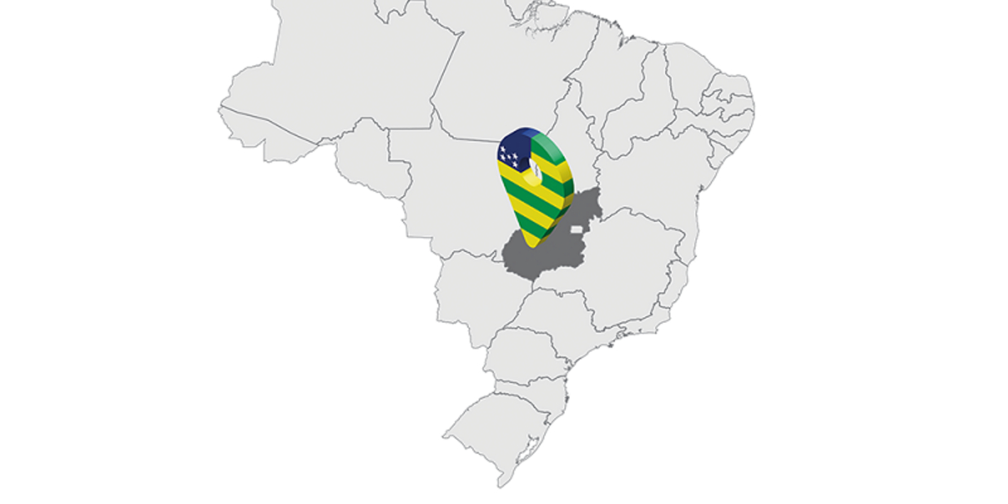 Missão COVID-19: OPAS e estado de Goiás trocam experiências 