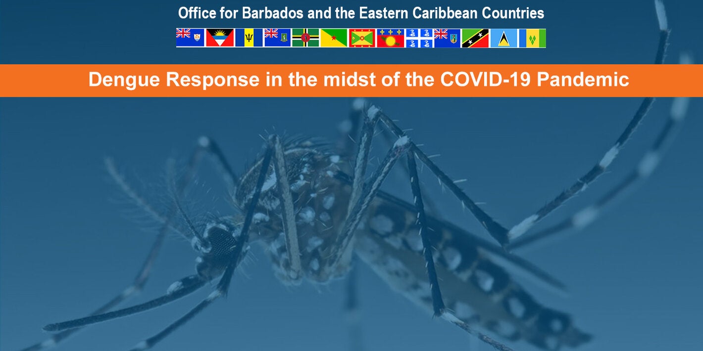 Flyer for Dengue  Webinar