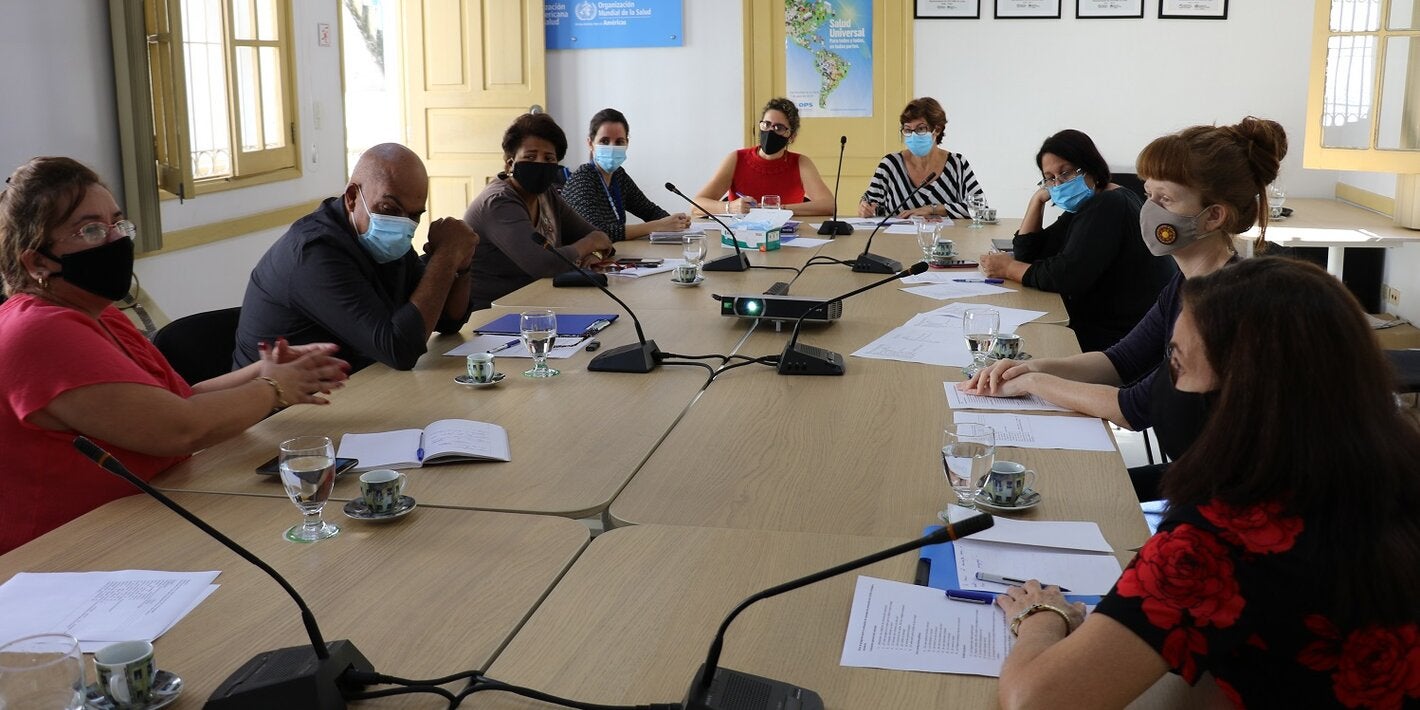 Participantes-segundo-taller-proyecto-OPS-Canadá