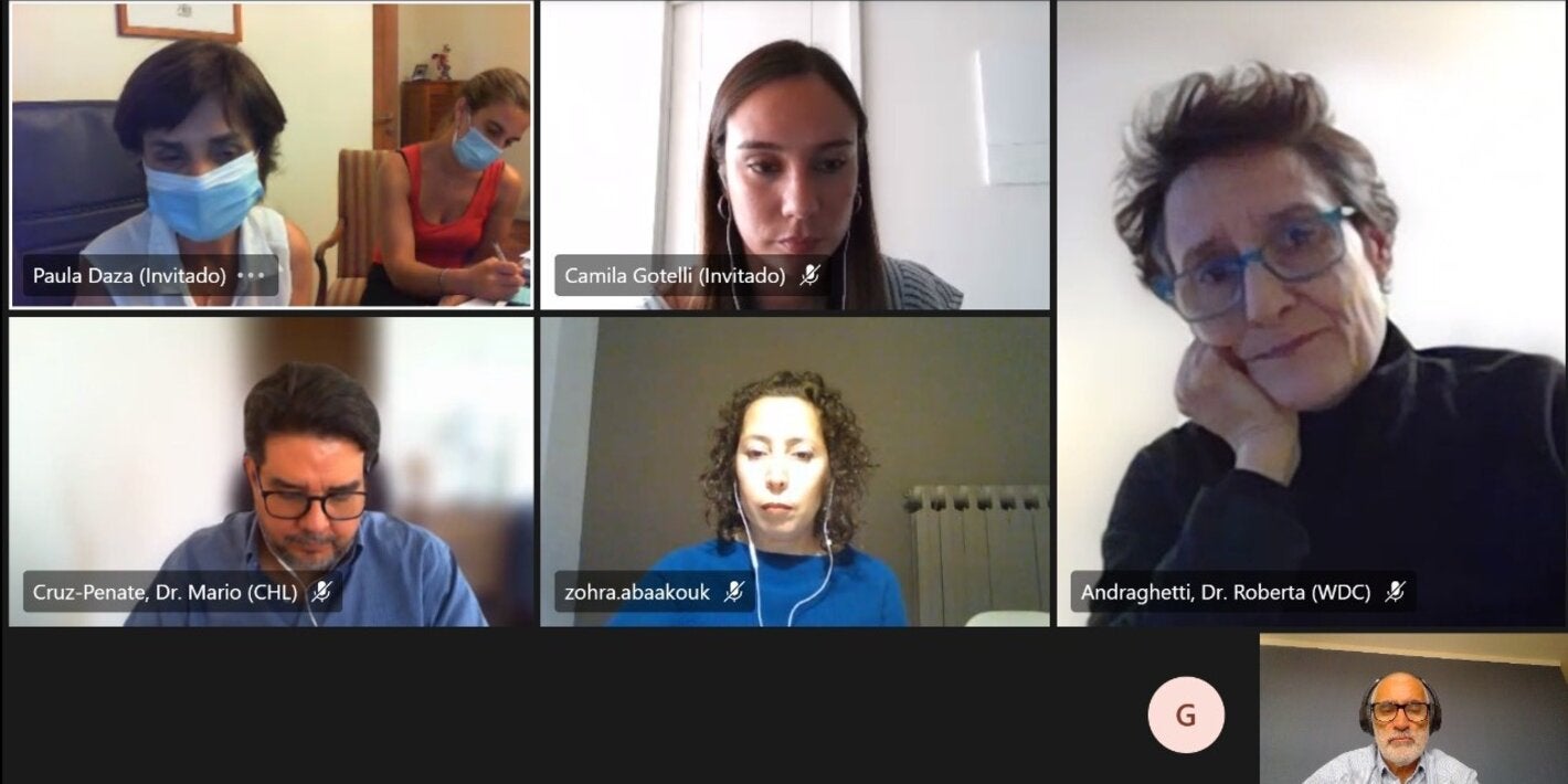 MINSAL y OPS/OMS analizan estrategia de aislamiento de casos COVID-19 en Chile