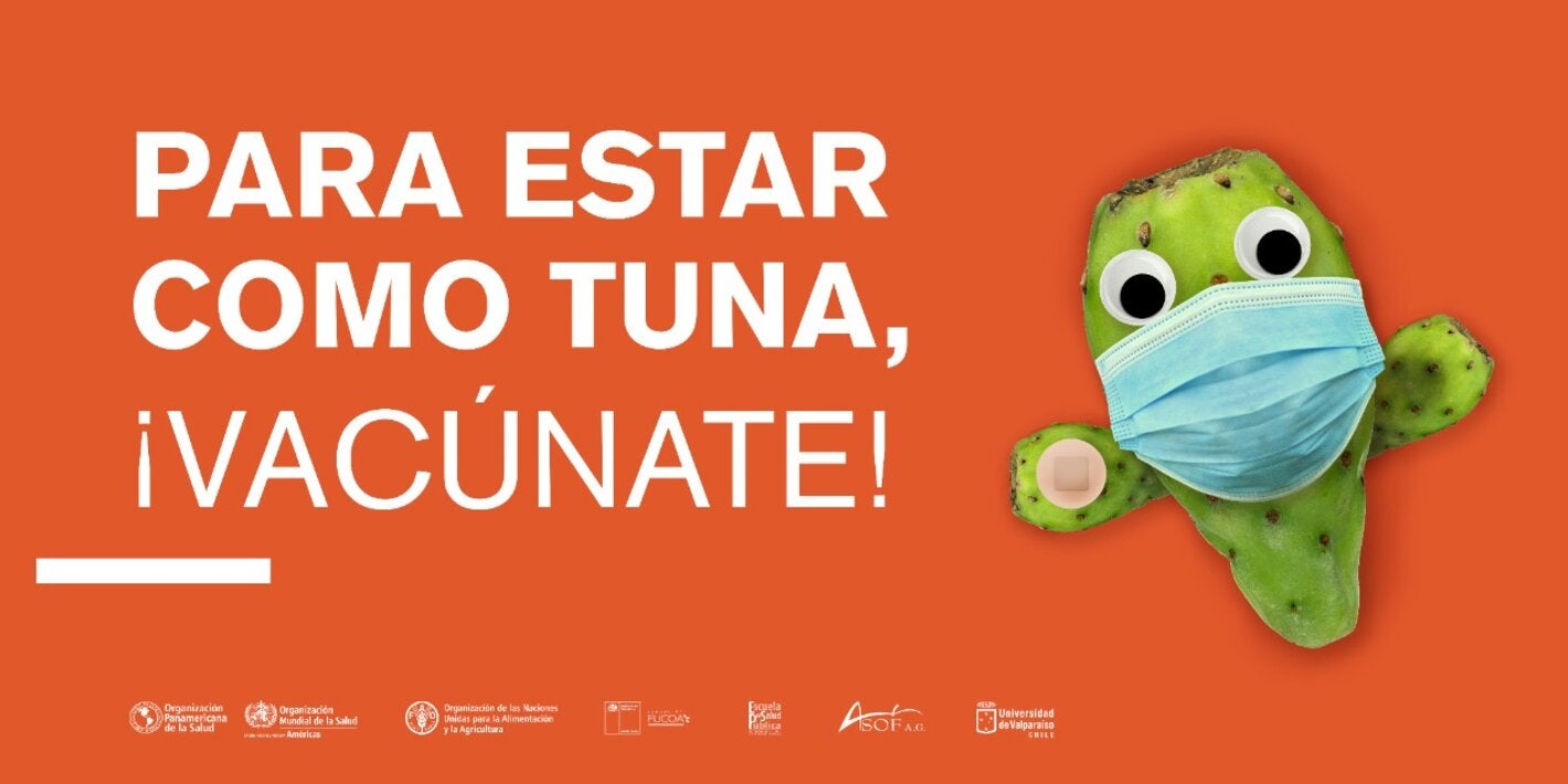 “PARA ESTAR COMO LECHUGA EN LA FERIA”, es una campaña cuya idea conceptual se basa en dichos populares chilenos, representado por frutas, verduras y productos a la venta en las ferias.