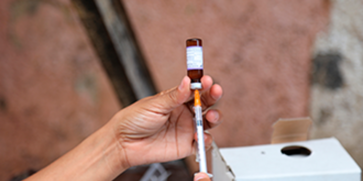 Imunização e segurança das vacinas