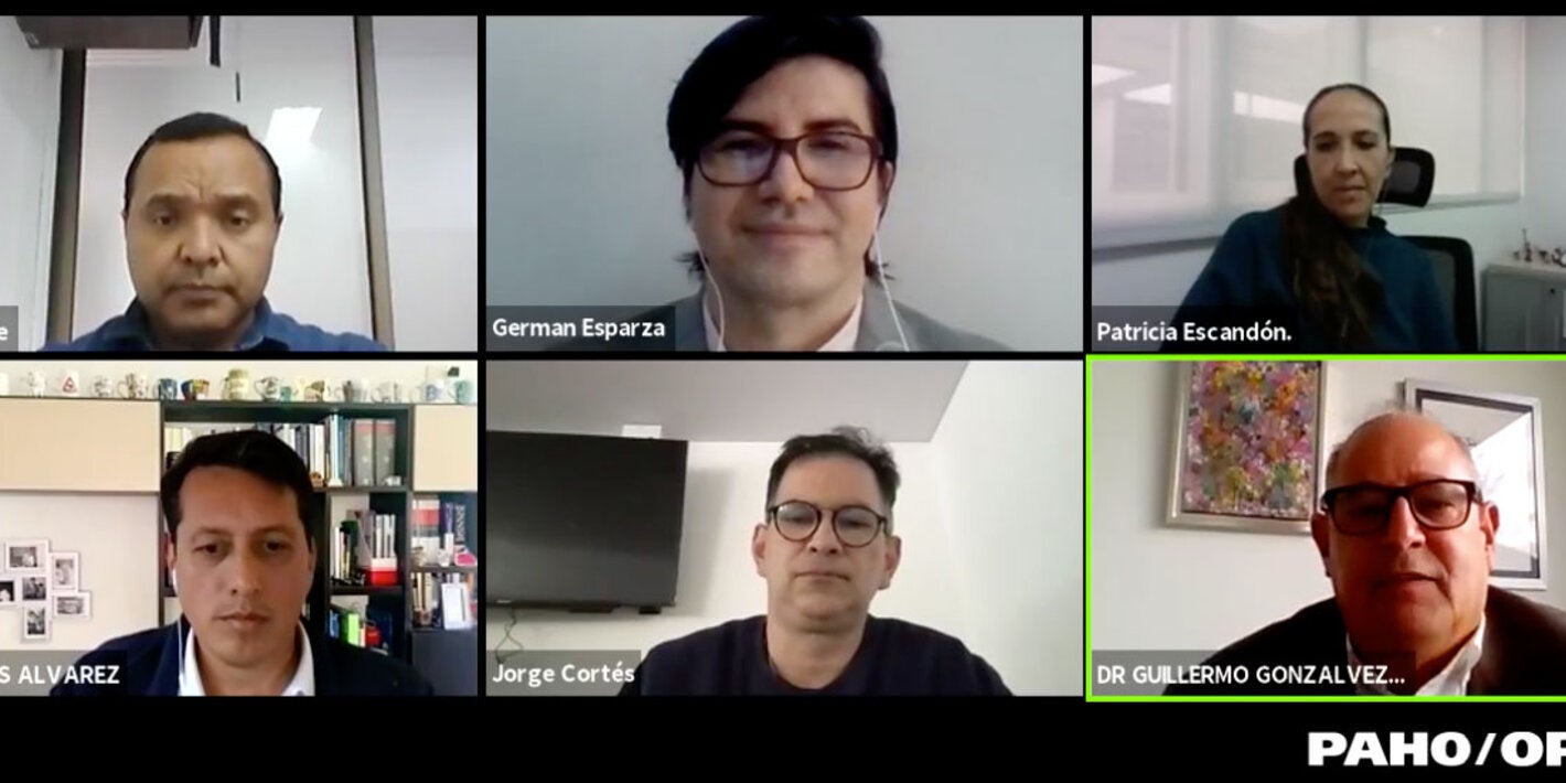 pNATALLA DE PANELISTAS EN ZOOM