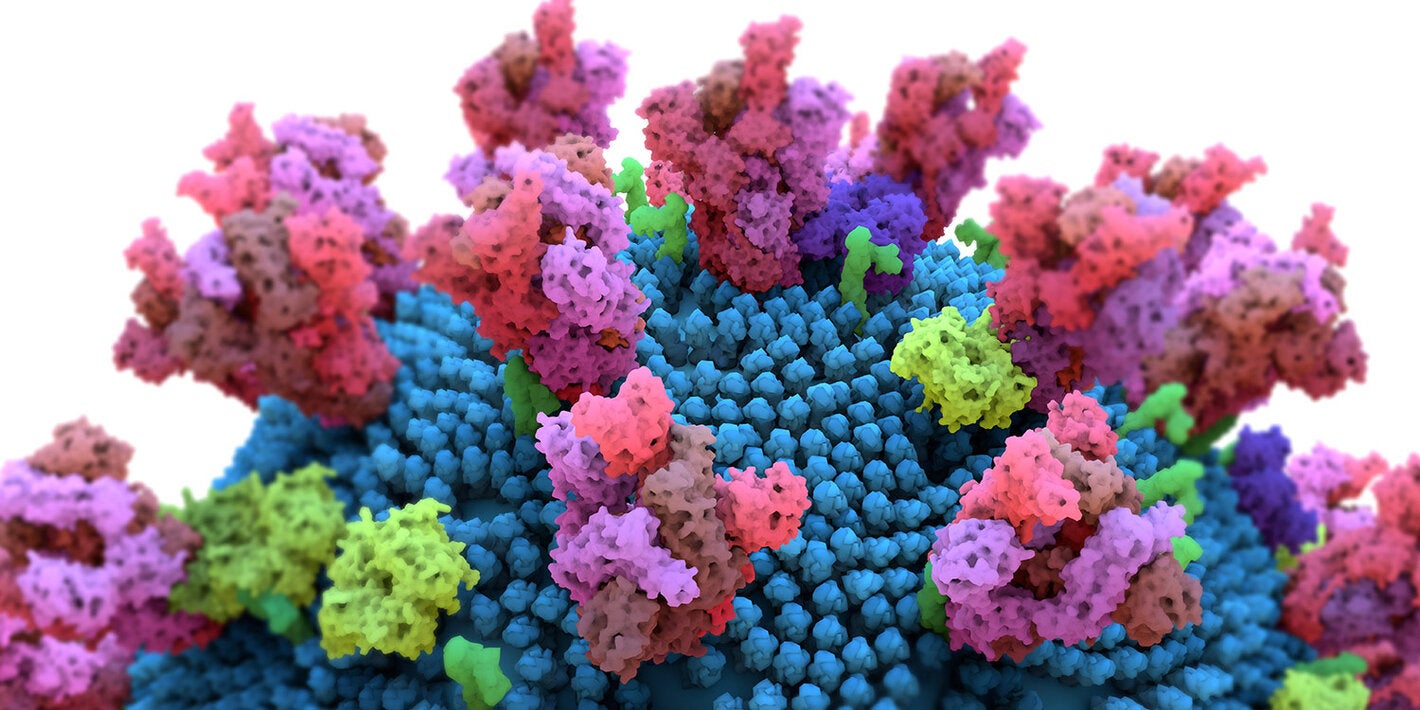 Variants of concern” of the virus that causes COVID-19, SARS-CoV-2