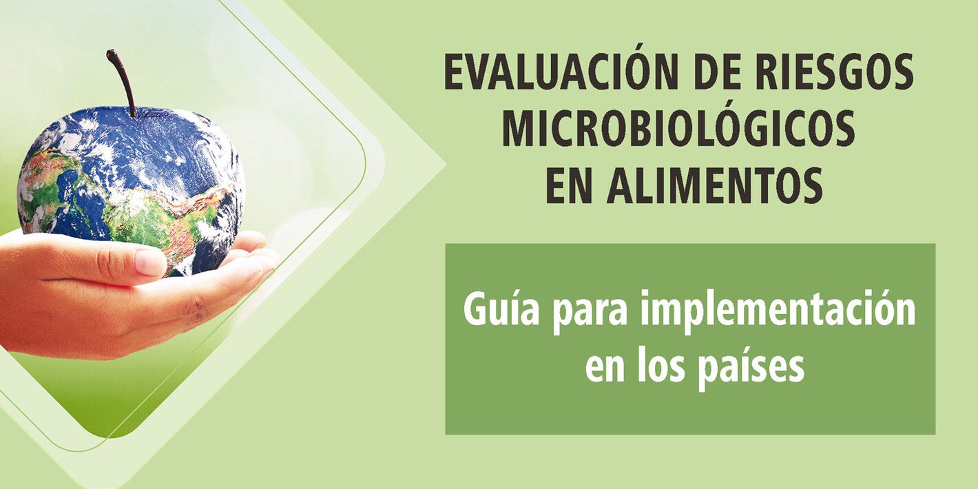 Manual evaluacion riesgo