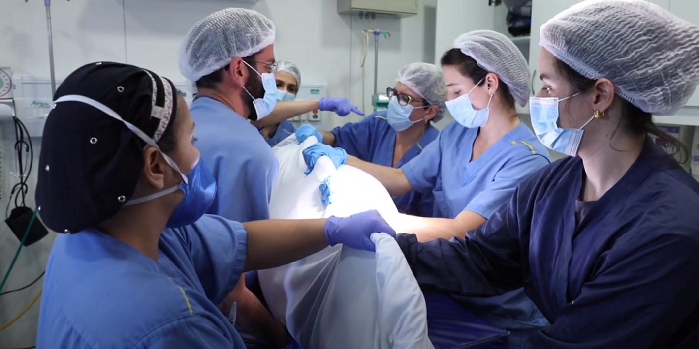 Videoaula pronação