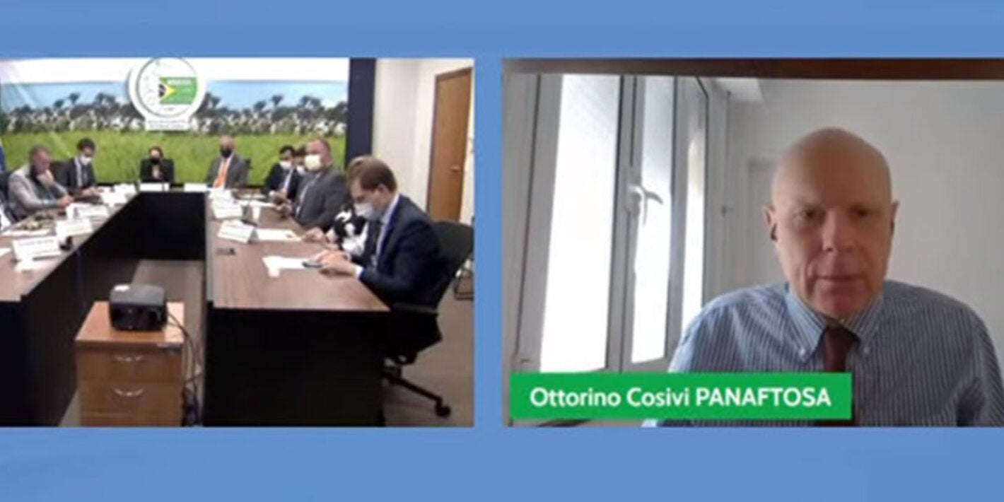 Seis estados brasileños recibieron el reconocimiento como zonas libres de fiebre aftosa sin vacunación