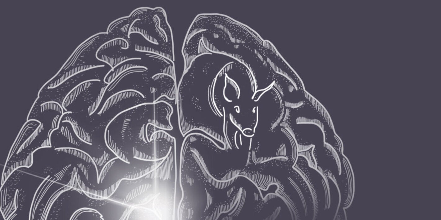 cover-taenia-solium-pub