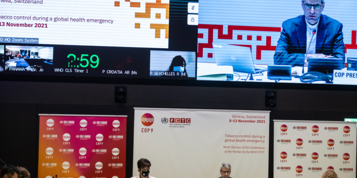 Image of panel at COP9 conference