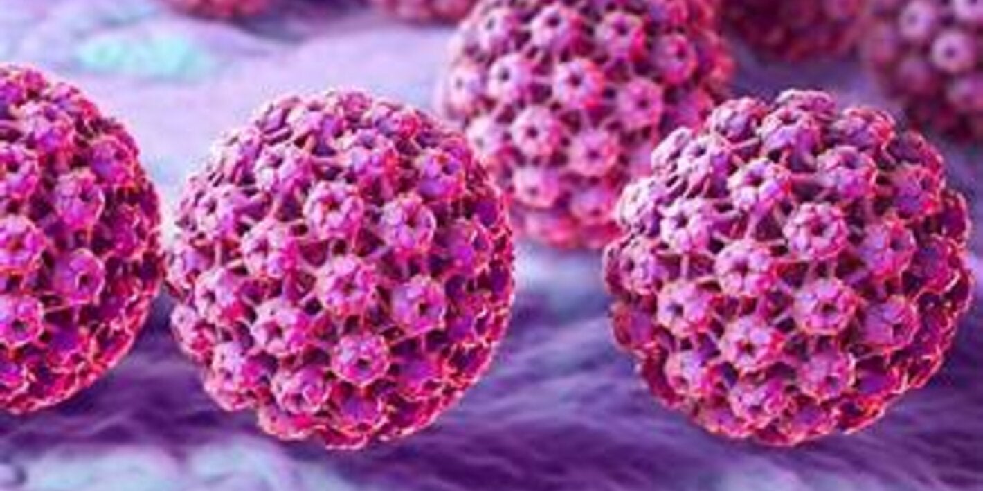 La vacuna contra el Virus Papiloma Humano está incluida gratuitamente en el Plan Ampliado de Inmunización de Chile para todas las niñas y niños 