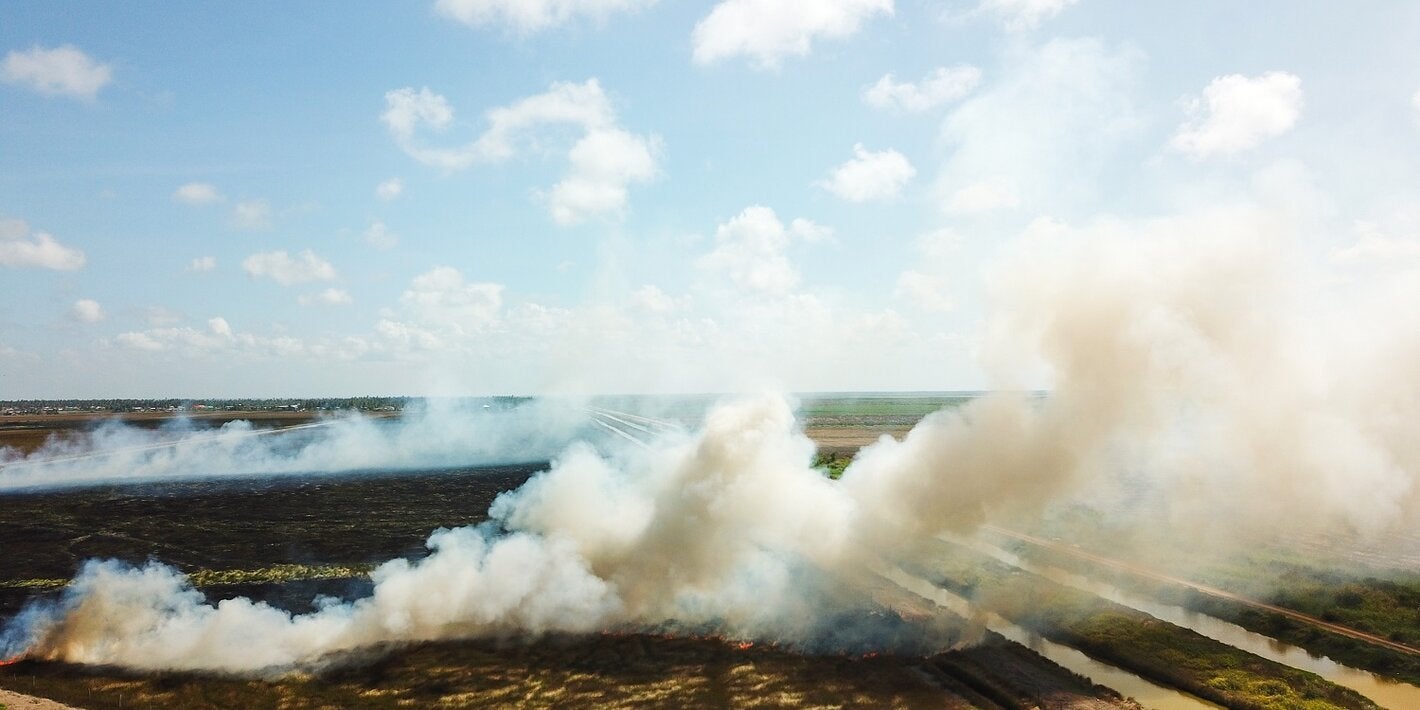 East Berbice wild fire