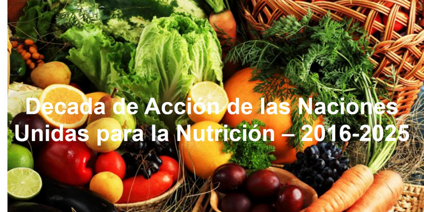 Decada de las Naciones Unidas para la Nutricion - 2016-2025