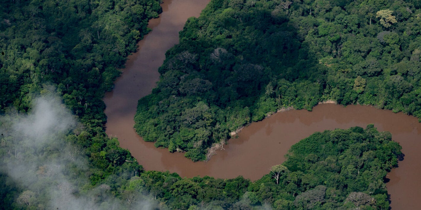 Vista aérea del Amazonas