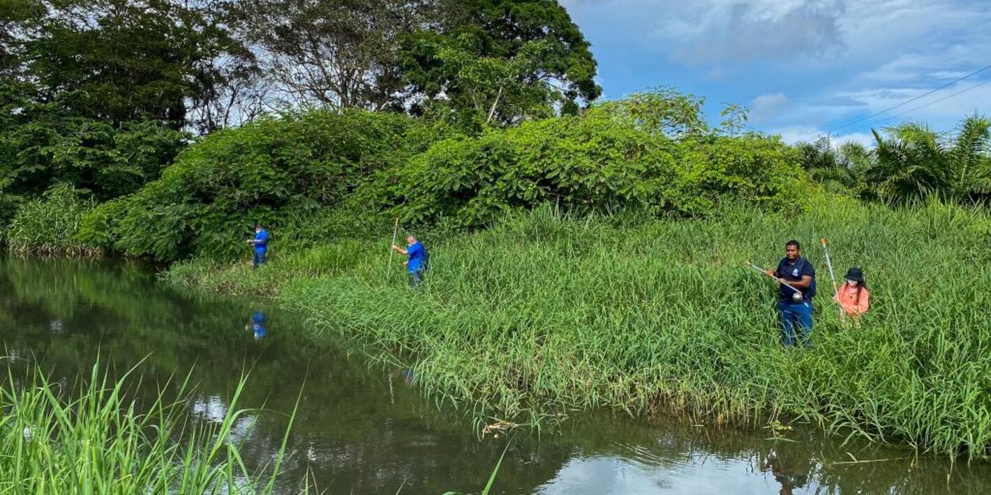 Trabajo de campo en vigilancia vectorial