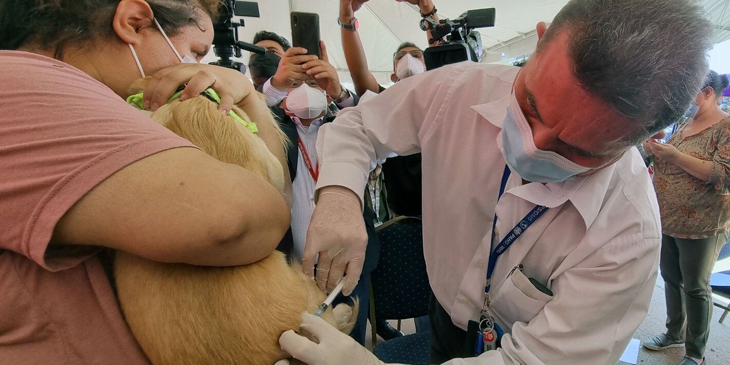 XXII Jornada vacunacion antirrabica