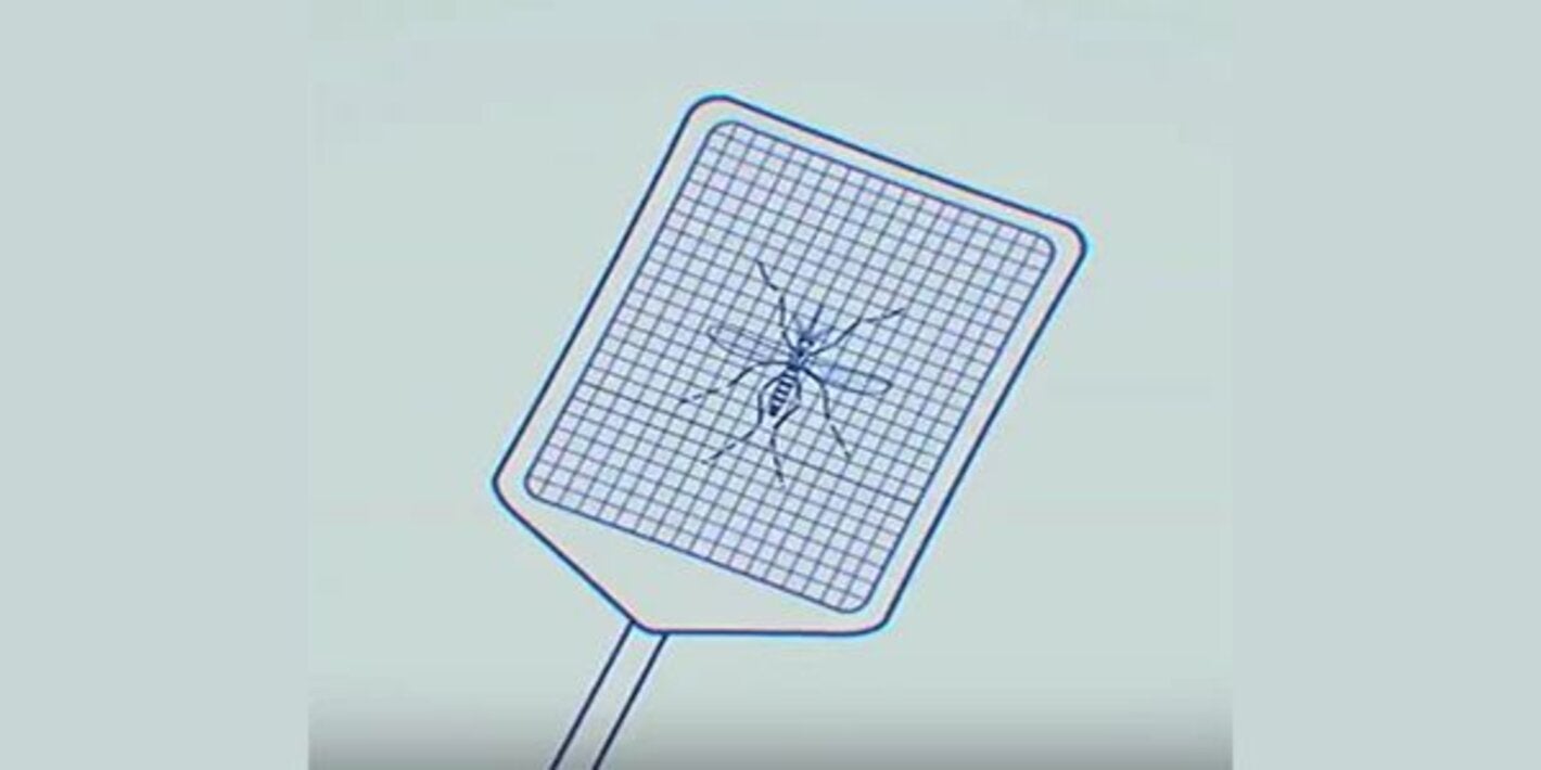 cartoon fly swatter