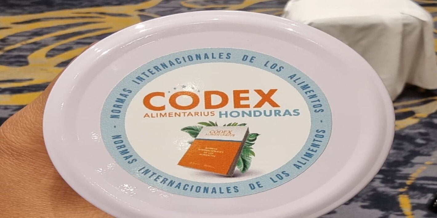 codex_junio2022