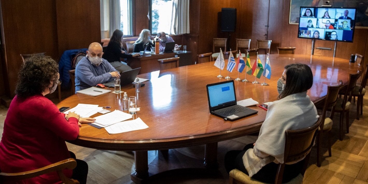 Comisión de Salud del MERCOSUR activa en la lucha contra la resistencia a los antimicrobianos