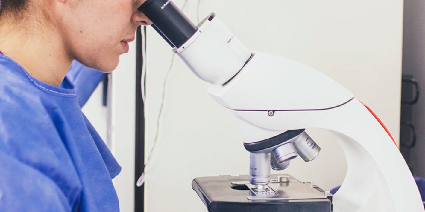 resistencia antimicrobiana